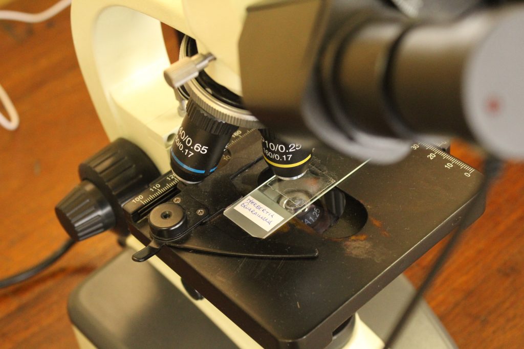 Laboratórios