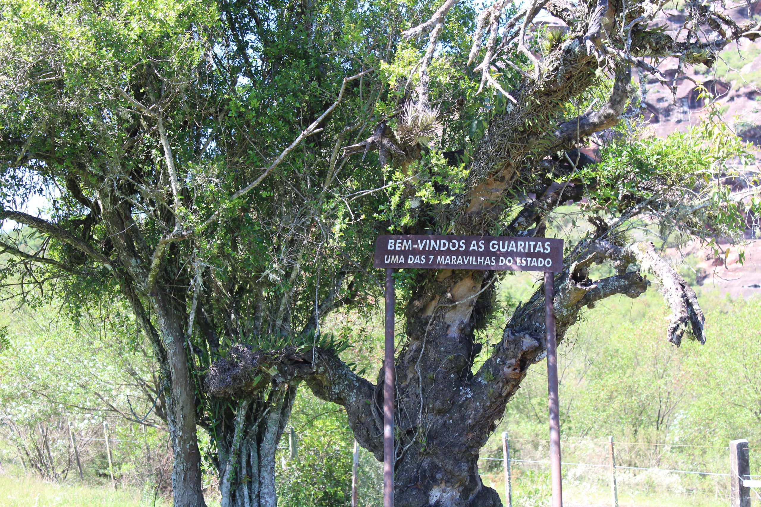 TRILHA DOS 7º E 8º ANOS EM MINAS DO CAMAQUÃ