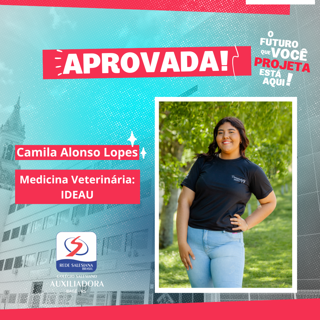 Arte de aprovação de Camila Alonso Lopes